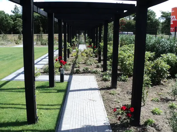 Project van Klusbedrijf Biever: houtbouw en overkappingen in Vlaardingen en omgeving