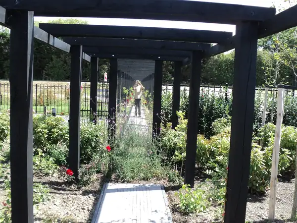 Project van Klusbedrijf Biever: houtbouw en overkappingen in Vlaardingen en omgeving